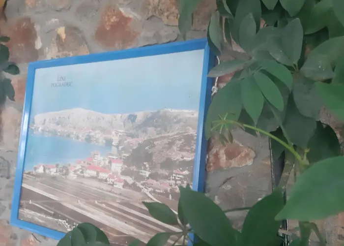 Οργανωμένο κάμπινγκ Stone Dream Polje